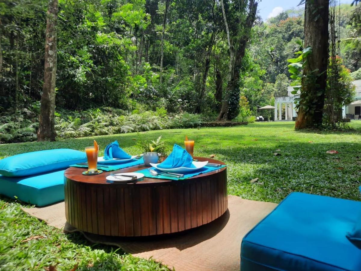 Hotel Palmstone Retreat Kitulgala Zewnętrze zdjęcie